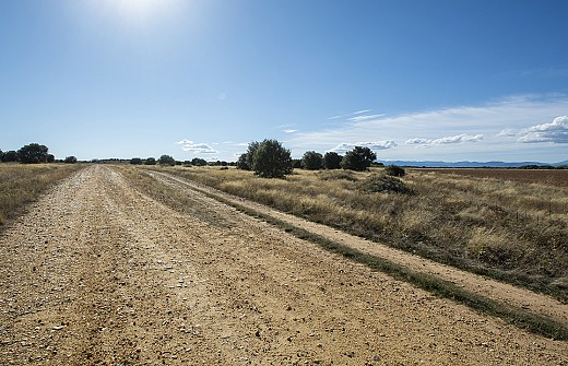 Vía Romana